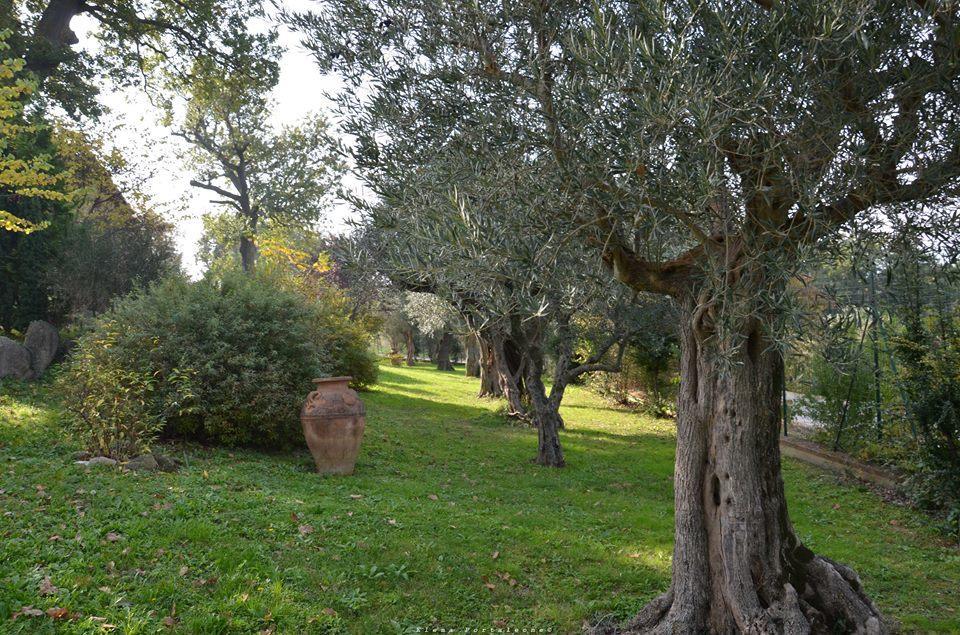 Bed and Breakfast Casale Il Cerqueto Сан-Северино-Марке Экстерьер фото