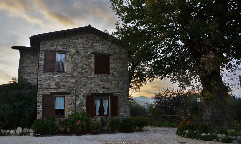 Bed and Breakfast Casale Il Cerqueto Сан-Северино-Марке Экстерьер фото