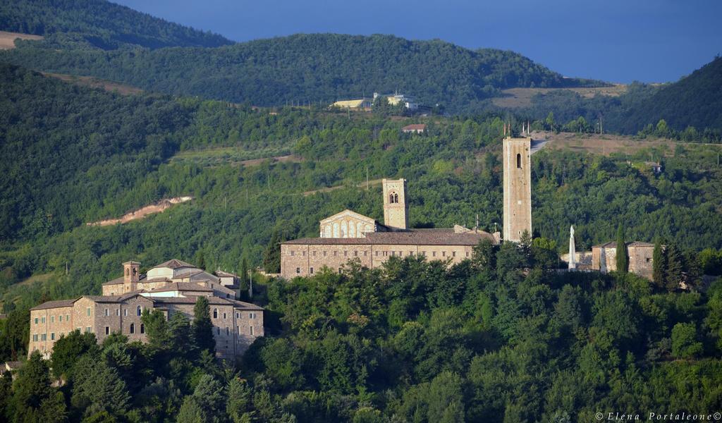 Bed and Breakfast Casale Il Cerqueto Сан-Северино-Марке Экстерьер фото