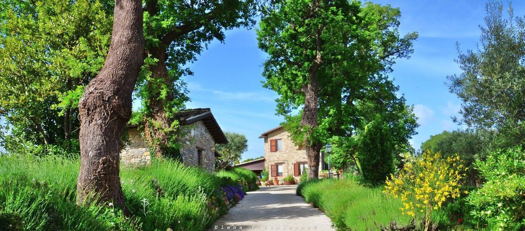 Bed and Breakfast Casale Il Cerqueto Сан-Северино-Марке Экстерьер фото